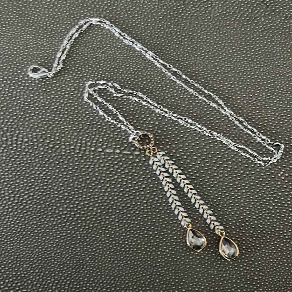 Premier Designs necklace, long chain